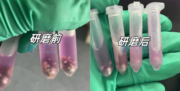 4-30- 實驗案例底圖.jpg