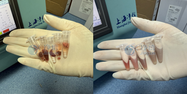 5-21-管2 實驗案例底圖.jpg