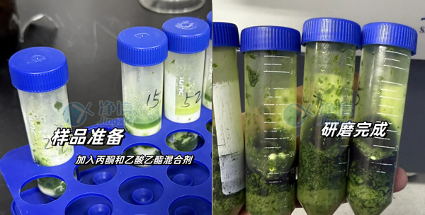 農產品 實驗案例底圖.jpg