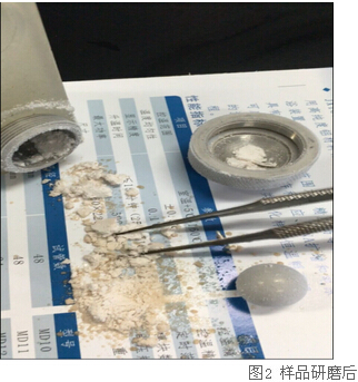 冷凍研磨儀研究告訴你-海虹體內的營養(yǎng)價值及藥用價值有那些？